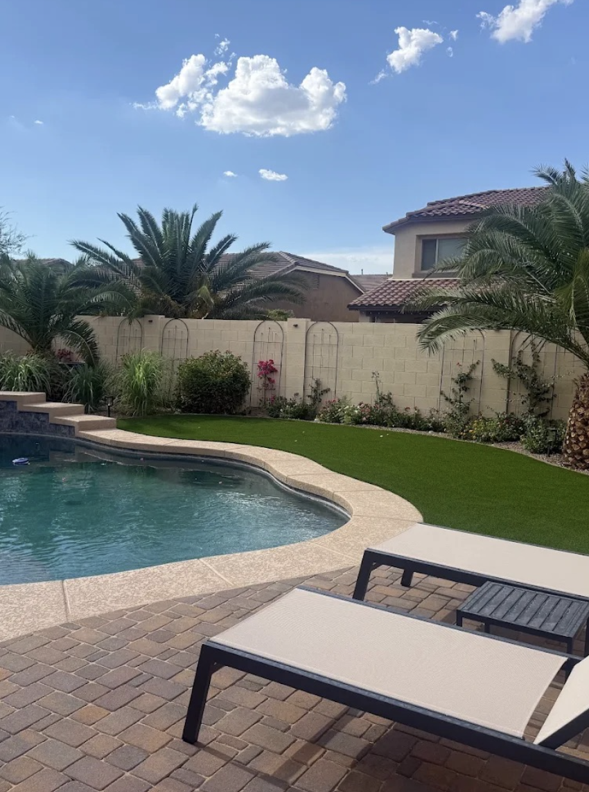 Poolside backyard with turf lawn, palm and planted beds along the wall